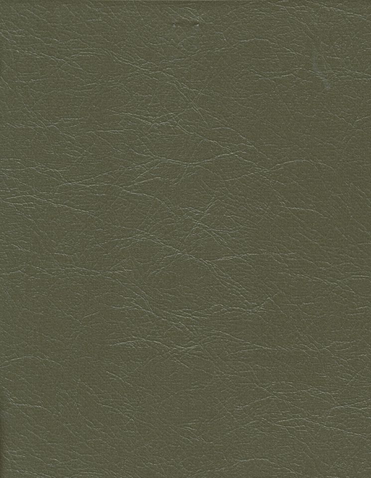 Cuero — Poblano