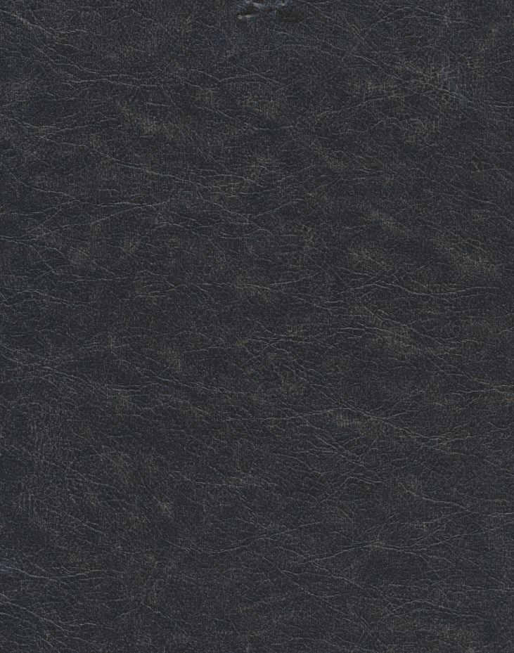 Cuero — Patina