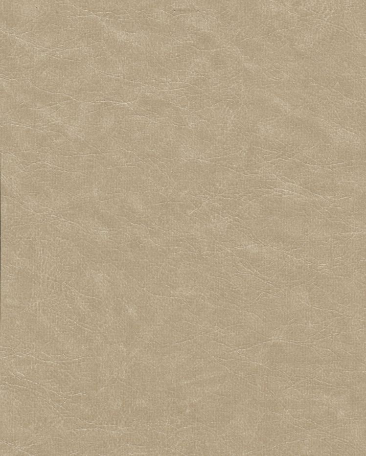 Cuero — Flan