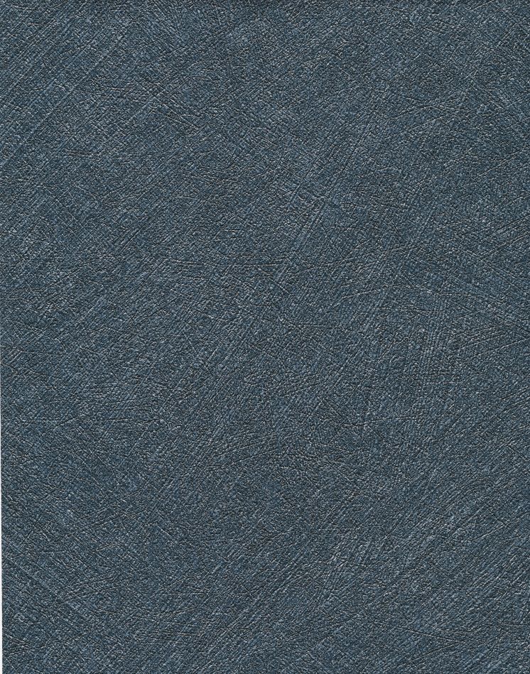 Spyder — Charcoal