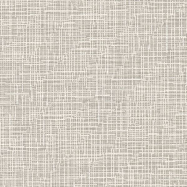 Minimal — Camel