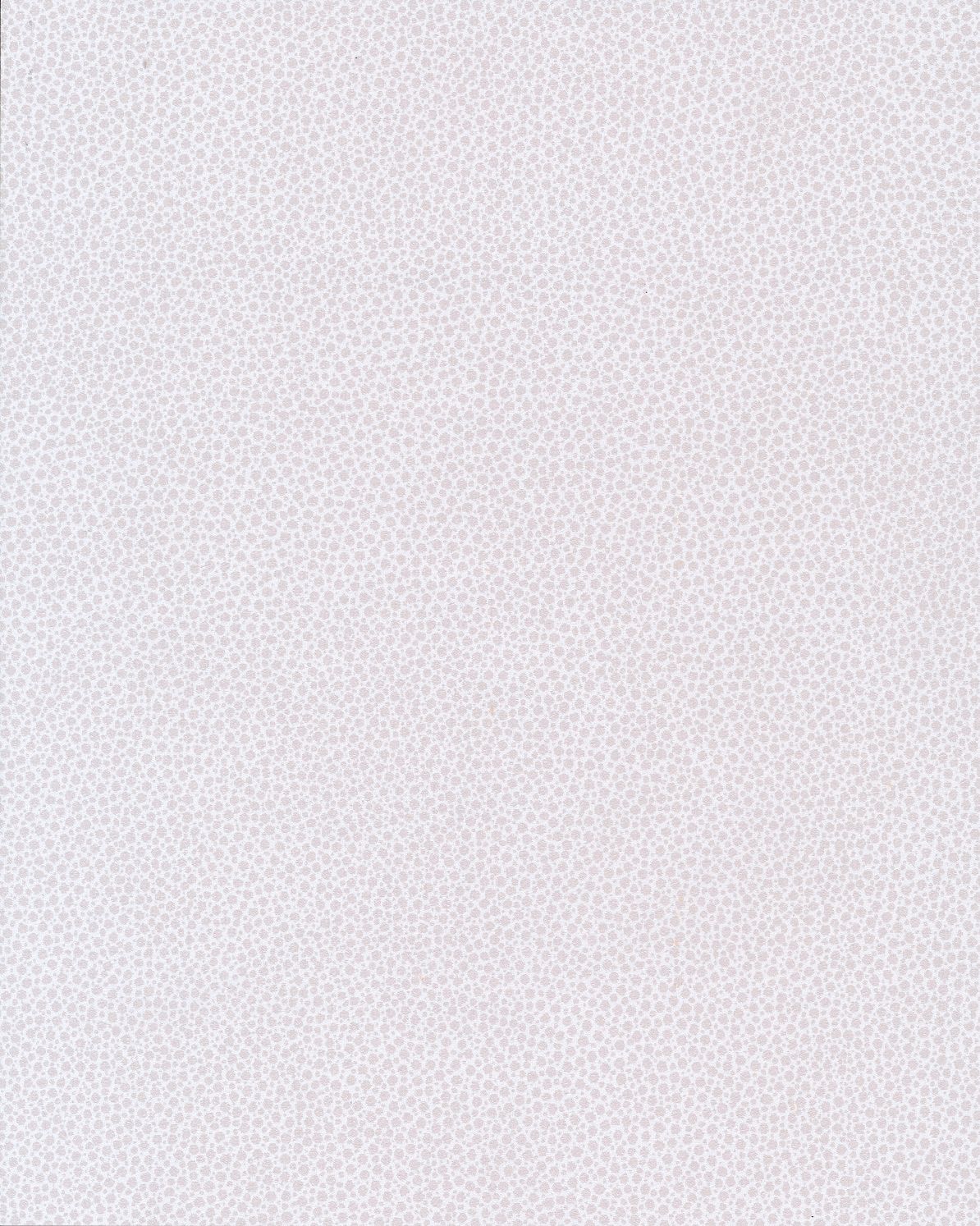 Canon Ball — Snow