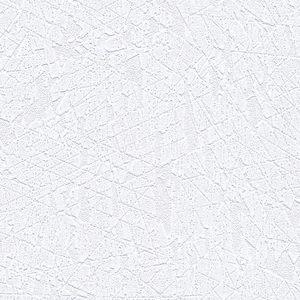 Home our collections paloma digital